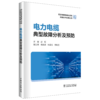 电力电缆典型故障分析及预防/高压电缆智能化运检关键技术应用丛书 商品缩略图0