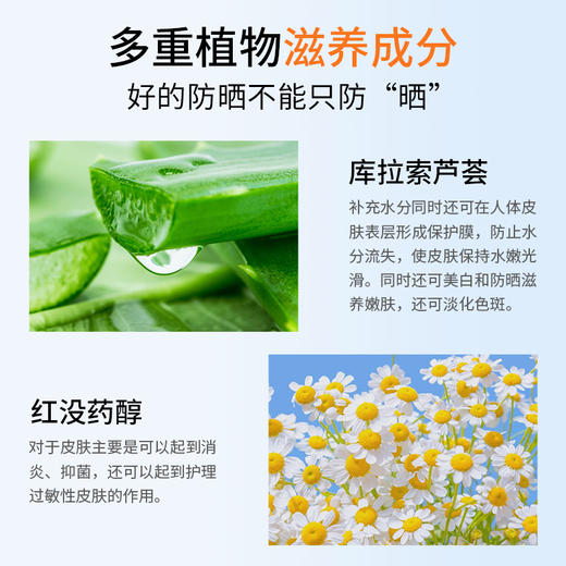 【靓邦素】娇颜防晒乳防晒霜 SPF25  PA++  60g 商品图2