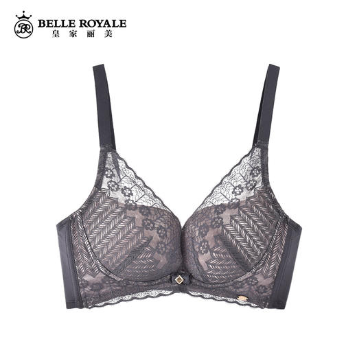 【秒杀品不退不换】WJ916-3皇家丽美收副乳美背内衣记忆钛圈中厚聚拢文胸 商品图1