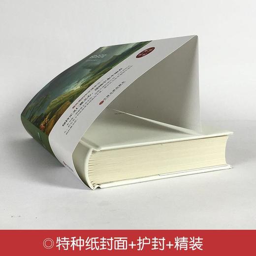 主内文学—《jd山伯爵》中小学生课外阅读世界经典文学名著 商品图3