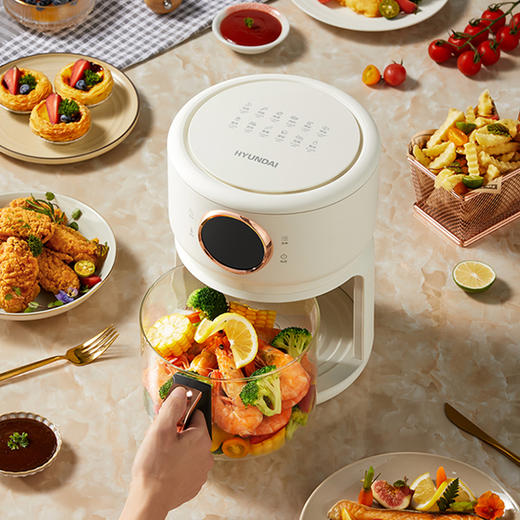 【限时下单赠送烤架】HYUNDAI可视化空气炸锅 ， 看得见的美味，万物皆可炸 商品图1