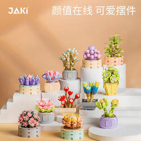 JAKI佳奇积木多肉植物盆栽仿真花治愈女孩生日女神节礼物摆件花束