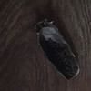 乾茂号造|树叶古锡茶则    规格：长10.6cm  宽4.5cm   高2cm 商品缩略图6