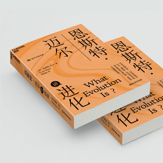湛庐|恩斯特·迈尔讲进化 商品图3