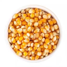 爆花玉米490g-510g