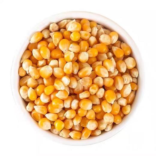 爆花玉米490g-510g 商品图0