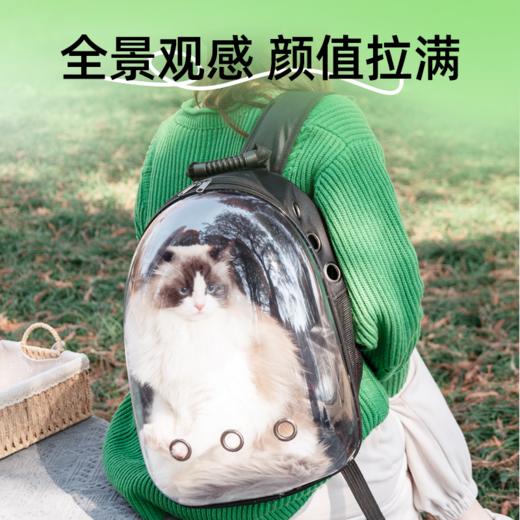 猫包外出便携太空舱双肩背包猫背包可手提狗狗出行宠物用品大容量 商品图8