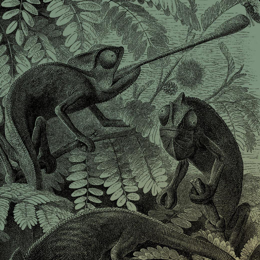 “科学之美”系列:《科学之美 最古老的学问》《科学之美 最优雅的科学》（全2册） 商品图6