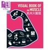 【中商原版】肌肉大图鉴 伽利略科学大图鉴16 港台原版 日本Newton Press 人人出版 商品缩略图1