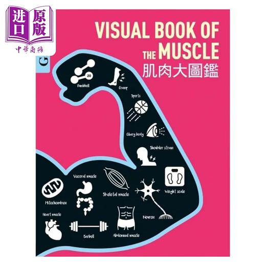 【中商原版】肌肉大图鉴 伽利略科学大图鉴16 港台原版 日本Newton Press 人人出版 商品图1