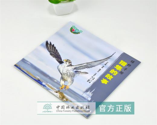 猎隼的故事 绿野仙踪 0260 马鸣 著 猎隼知识 隼类特征 生态习性 繁殖后代 捕食策略 保护 少儿科普读物 中国林业出版社 畅销书 商品图2