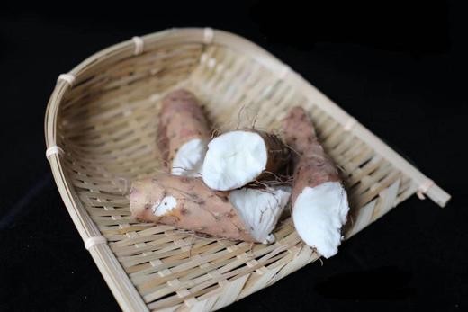 新鲜采挖 温县垆土铁棍山药 商品图3