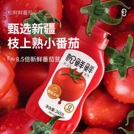 【松鲜鲜】番茄沙司 不止0添加 还有6种果蔬成分 商品图2
