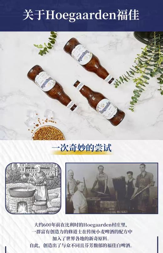 福佳白啤酒 (比利时风味白啤酒) 330ml*24/箱【MJ】 商品图3