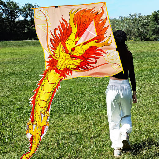 【东方巨龙风筝 户外炫酷放飞】潍坊大宗东方苍龙风筝 巨龙头风筝 3D风筝 加粗骨架 微风就能飞 商品图1