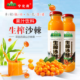 【快递包邮】宁化府生榨沙棘果汁300ml*8罐/箱