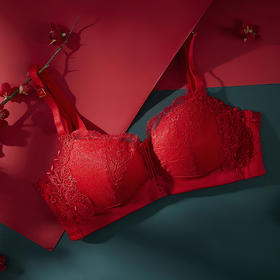 都市丽人内衣中厚刺绣三排扣无钢圈3/4杯常规文胸LB318A