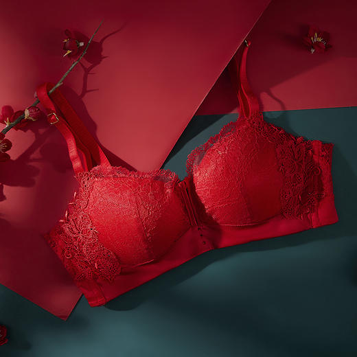 都市丽人内衣中厚刺绣三排扣无钢圈3/4杯常规文胸LB318A 商品图0