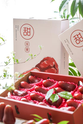 海南黑糖芭比莲雾