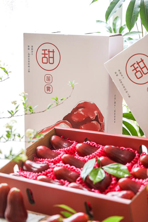 海南黑糖芭比莲雾 商品图0