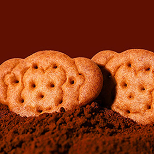 江中猴姑·黑巧味猴姑小饼 65g/袋 【赠品0元订单不单发】 商品图0