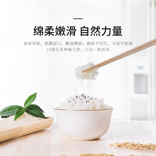 天造地设臻选小町米 5kg 柔韧弹糯 粒粒甄选 商品图3