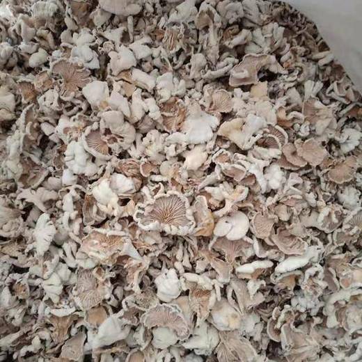 新鲜白参 300g（今日预定，明日送达，预定商品无品质问题，不退货不换货不退款） 商品图1