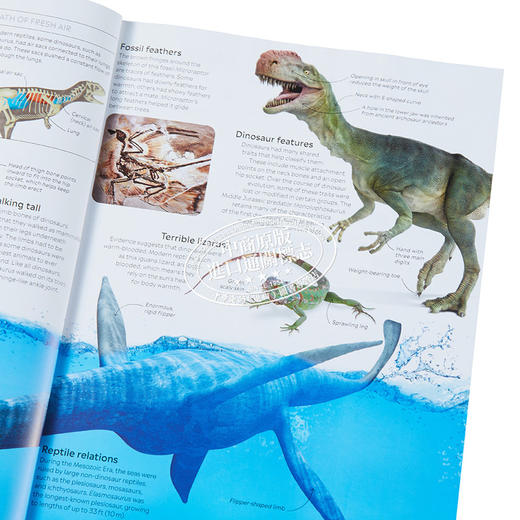 预售 【中商原版】Dinosaur Eyewitness系列 恐龙百科 英文原版 Dinosaur DK 商品图3