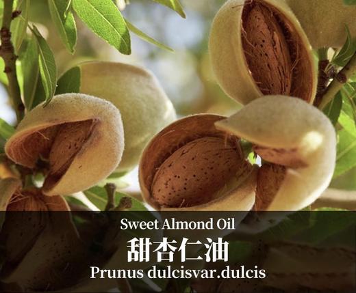 美国甜杏仁油Sweet Almond Oil｜面部基础油｜面部护肤｜身体滋润｜婴儿按摩 商品图0