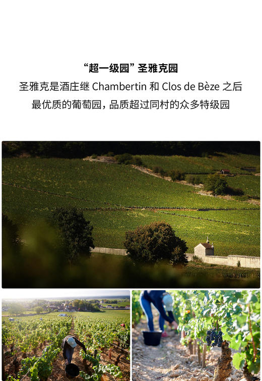 阿曼-卢梭热夫雷香贝丹圣雅克园一级园红葡萄酒 2022  Armand Rousseau Gevrey-Chambertin 1er Cru Clos St-Jacques 商品图3