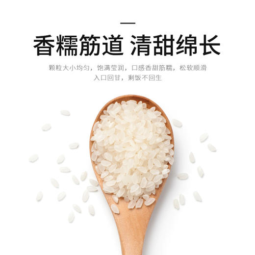 天造地设臻选小町米 5kg 柔韧弹糯 粒粒甄选 商品图4