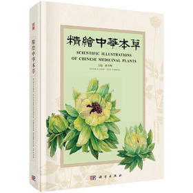 精绘中华本草/陈月明