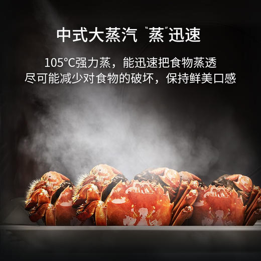 西门子（SIEMENS）嵌入式蒸箱蒸汽炉 30种自动程序45L大容量家用蒸箱 CD289ABS0W 商品图1
