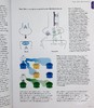 预售 【中商原版】Stahl's Essential Psychopharmacology 英文原版 Stahl精神药理学精要：神经科学基础和实践应用 Stephen M. Stahl 商品缩略图8