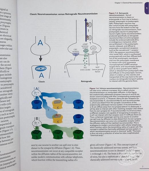 预售 【中商原版】Stahl's Essential Psychopharmacology 英文原版 Stahl精神药理学精要：神经科学基础和实践应用 Stephen M. Stahl 商品图8