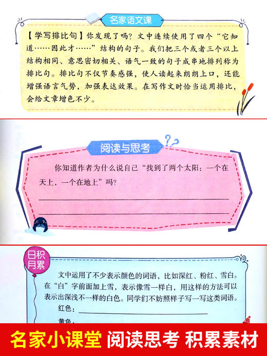 金波春夏秋冬美文注音版四季美文全套4册 雨点儿沙滩上的童话阳光树和喜鹊小学语文一年级三年级二年级必读课外书童话美文阅读书籍 商品图4