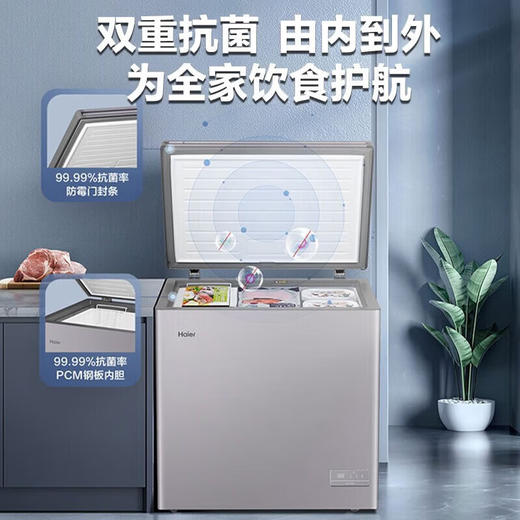 【海尔BC/BD-100GHEPC】海尔 Haier冰柜家用-40度节能减霜冷冻冷藏冷柜母乳囤货小型冰柜 商品图0