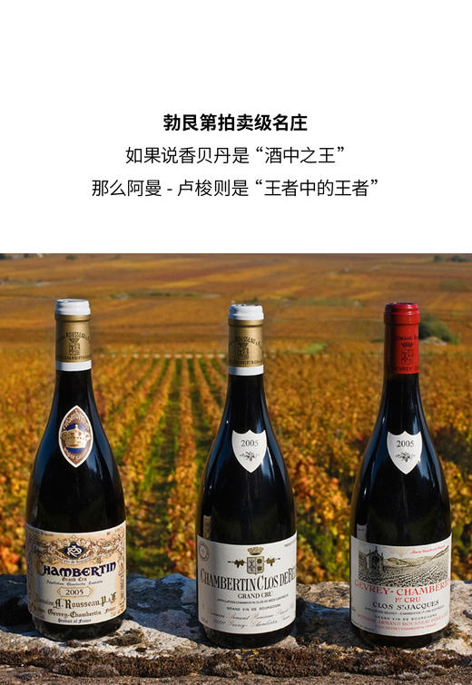 阿曼-卢梭热夫雷香贝丹圣雅克园一级园红葡萄酒 2022  Armand Rousseau Gevrey-Chambertin 1er Cru Clos St-Jacques 商品图2
