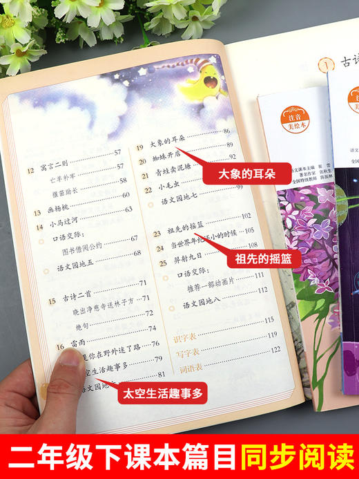 注音版全套8册小学二年级下册课外书必读语文课文同步拓展阅读老师推荐经典书籍大象的耳朵 好天气和坏天气 商品图1