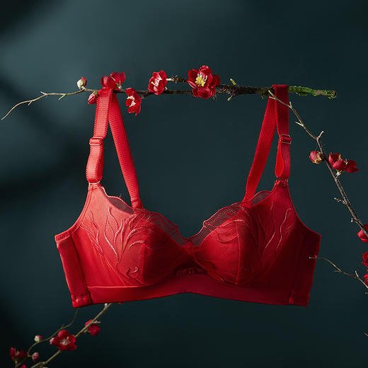 都市丽人内衣中厚刺绣三排扣无钢圈3/4杯常规文胸LB311A 商品图0