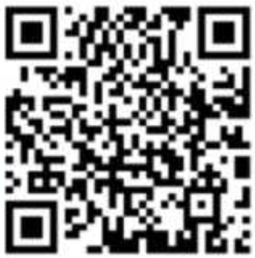 SNTTY 正品月抛20/副69/6副，浮金如梦银耀石黑银耀石灰春日芭蕾 商品图4