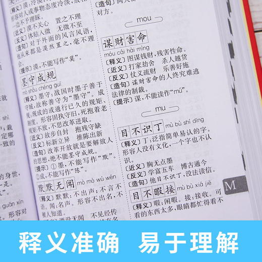 【开心图书】红色宝典·学生实用新华字典 商品图10
