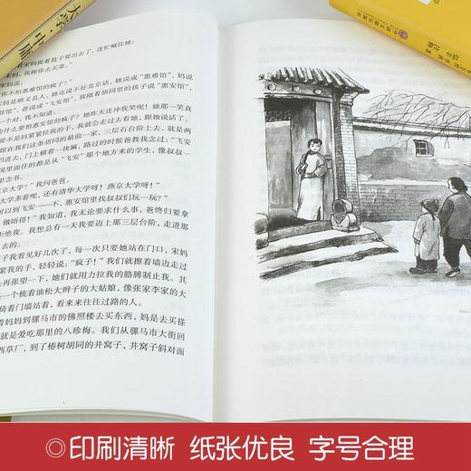 精装珍藏正版城南旧事名家名译林海音著初高中生推荐世界名著 商品图2