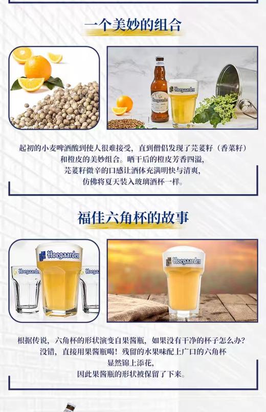 福佳白啤酒 (比利时风味白啤酒) 330ml*24/箱【MJ】 商品图4