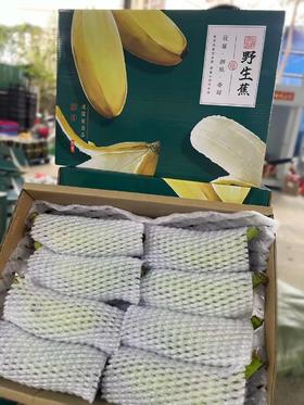 野生芭蕉五指山野生芭蕉4斤装