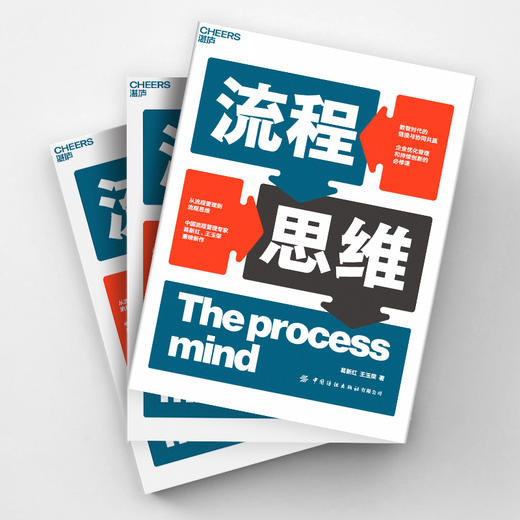 湛庐|流程思维 商品图2