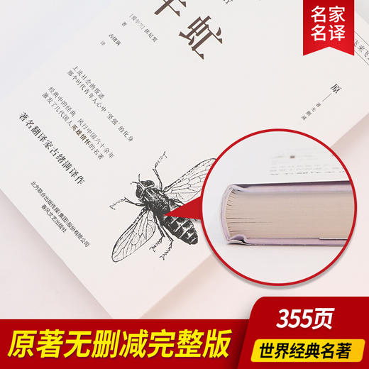 牛虻  精装全译本无删减 商品图1