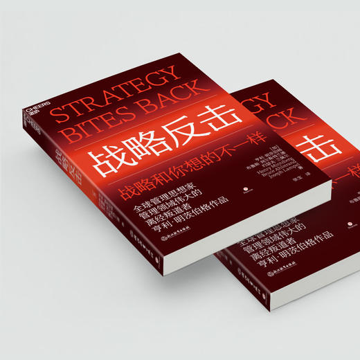 湛庐|战略反击 商品图3