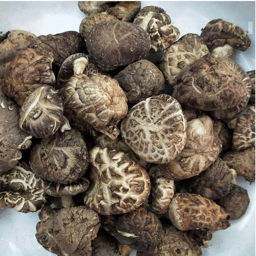 【万里山】特级椴木小香菇500g/袋 商品图3