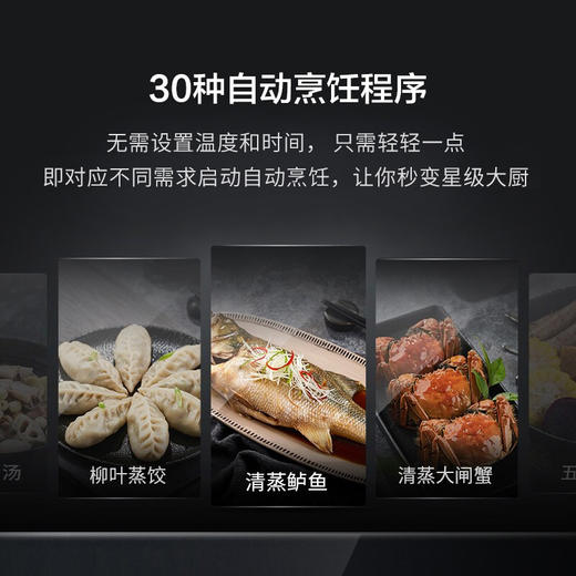 西门子（SIEMENS）嵌入式蒸箱蒸汽炉 30种自动程序45L大容量家用蒸箱 CD289ABS0W 商品图2